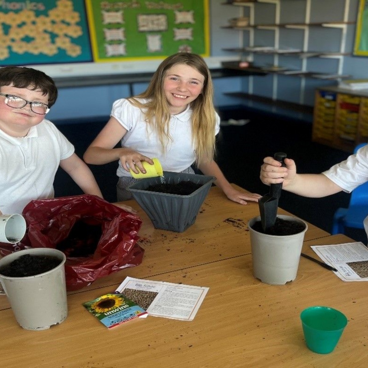 Trinity Academy New Bridge - Sunflowers